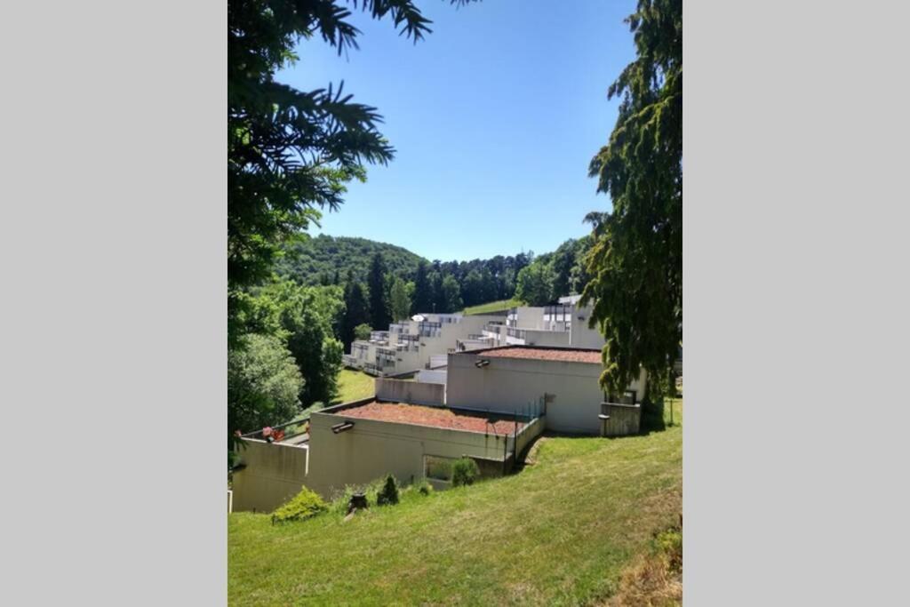 Studio Au Coeur Des Volcans D Auvergne - מורול מראה חיצוני תמונה