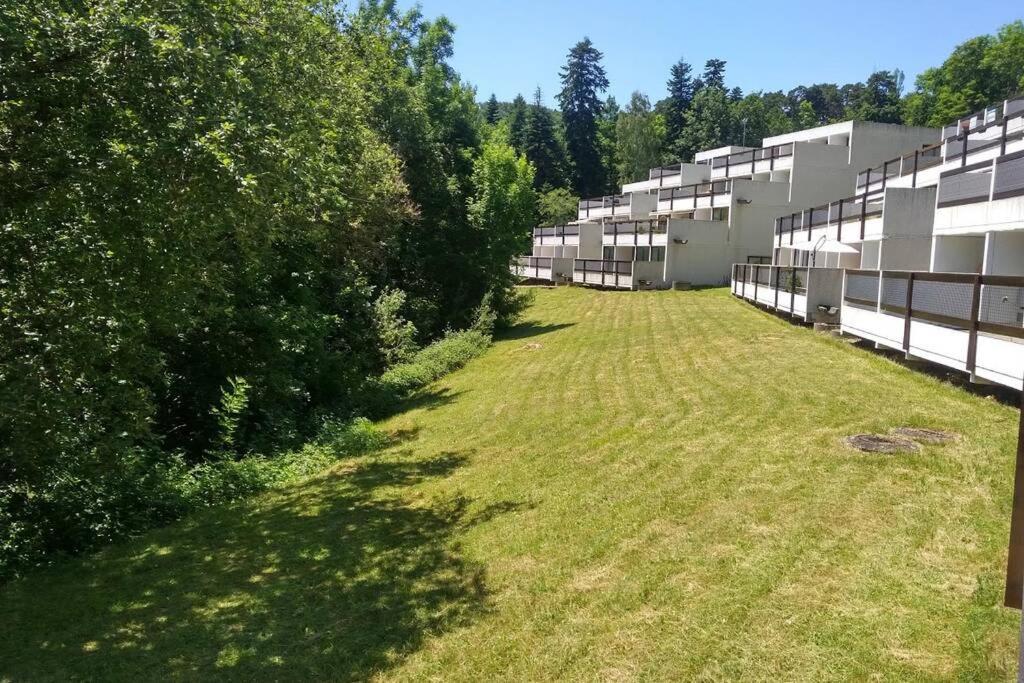 Studio Au Coeur Des Volcans D Auvergne - מורול מראה חיצוני תמונה