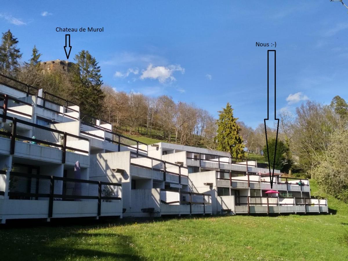 Studio Au Coeur Des Volcans D Auvergne - מורול מראה חיצוני תמונה